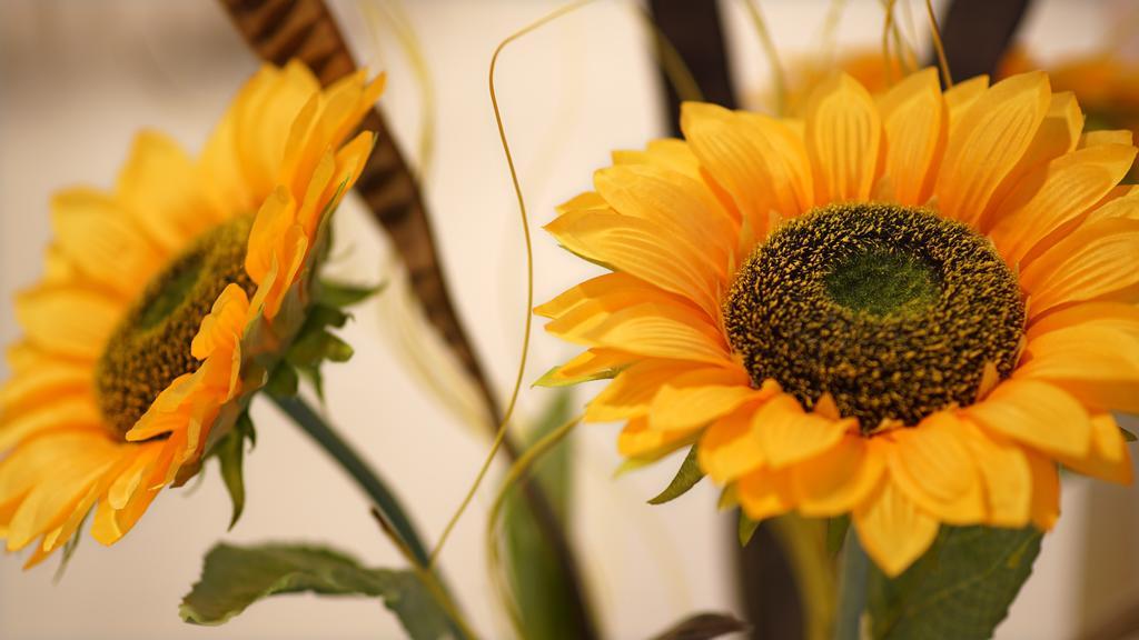 Garden Hotel Arezzo Ngoại thất bức ảnh